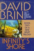 Infinity's Shore (Bantam Spectra Book)