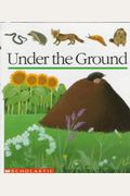 Under The Ground: A First Discovery Book
