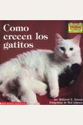 Como Crencen Los Gatitos: How Kittens Grow