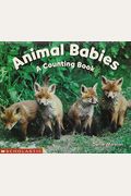 Animal Babies: A Counting Book