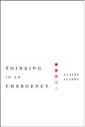 Thinking In An Emergency (Norton Global Ethics Series)