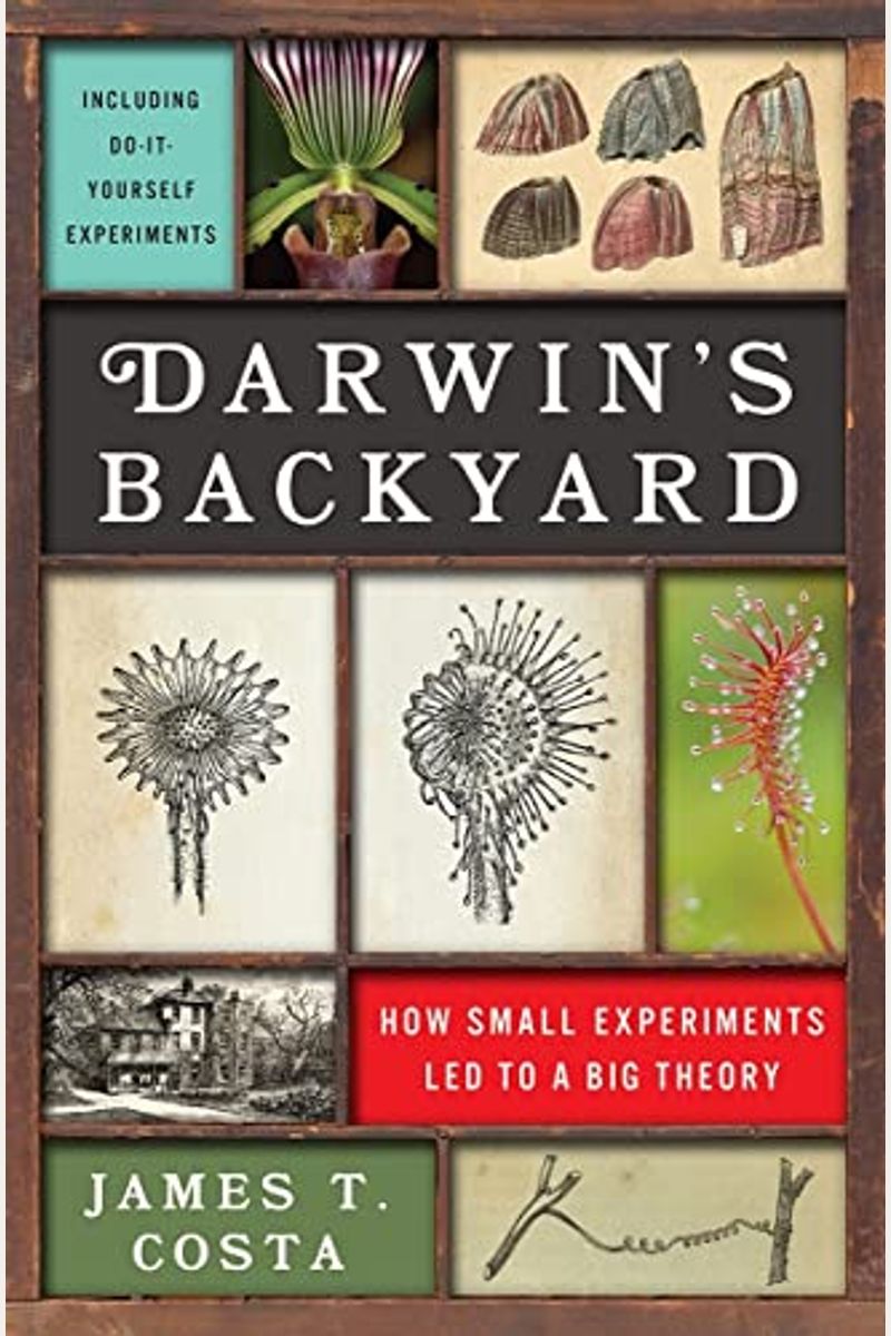 Darwin's Backyard: How Small Experiments Led To A Big Theory