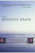 The Mindful Brain: Reflection And Attunement In The Cultivation Of Well-Being