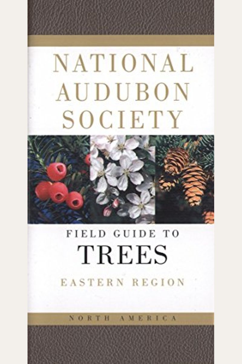 National Audubon Society Field Guide To North American Trees: Eastern Region