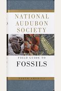 National Audubon Society Field Guide To North American Fossils