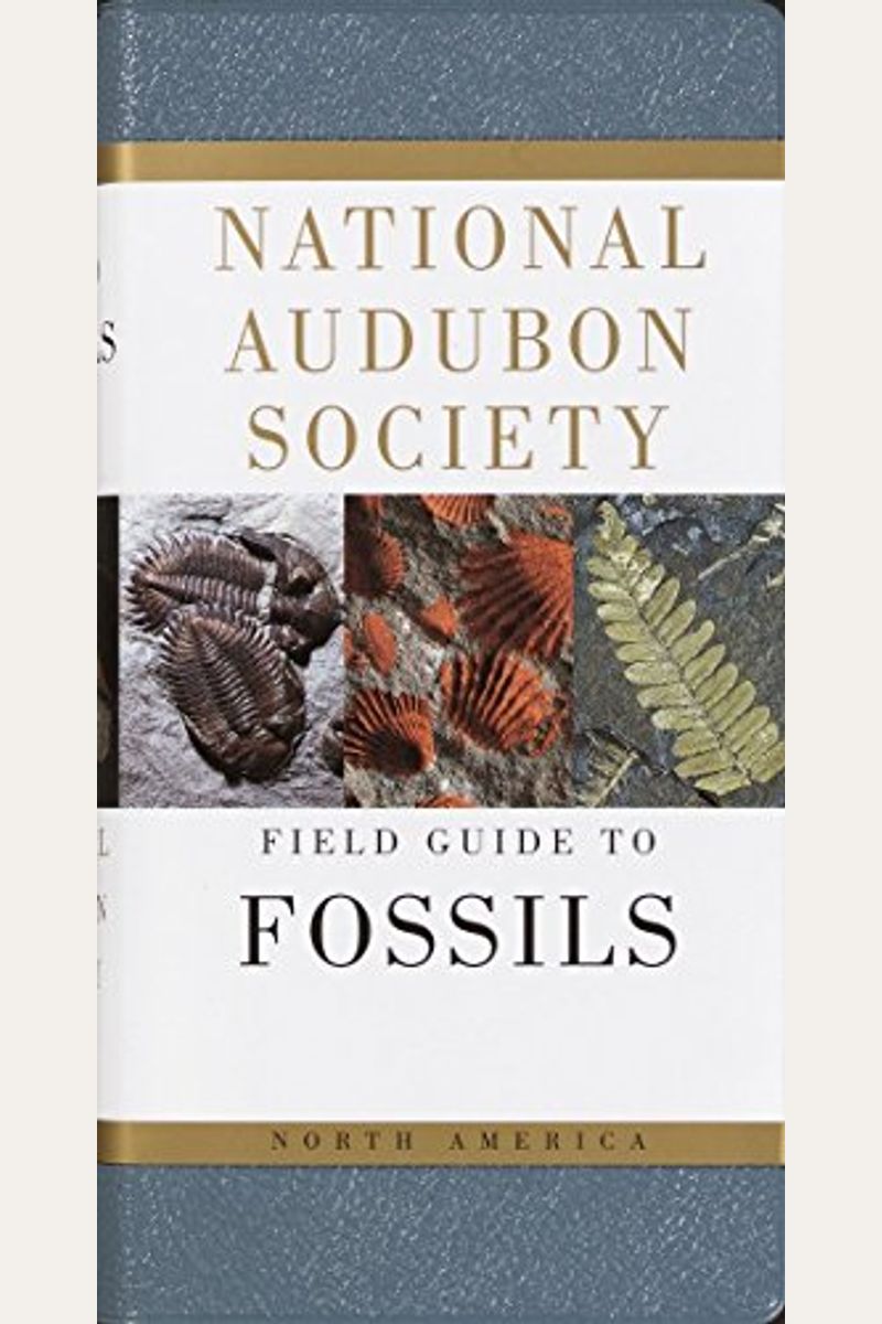 National Audubon Society Field Guide To Fossils
