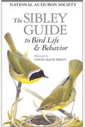 The Sibley Guide To Bird Life & Behavior