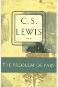 The Problem Of Pain