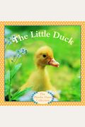 The Little Duck