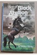 Son Of The Black Stallion
