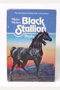 Walter Farley's Black Stallion Books