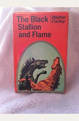 The Black Stallion And Flame The Black Stallion And Flame
