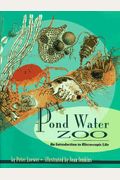 Pond Water Zoo: An Introduction To Microscopic Life