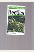 Peterson Field Guide (R) to Beetles
