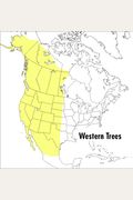 A Field Guide To Western Trees: Western United States And Canada (Peterson Field Guides)