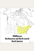 A Peterson Field Guide To Wildflowers: Northeastern And North-Central North America (Peterson Field Guides)