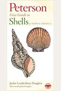 Peterson First Guide To Shells Of North America