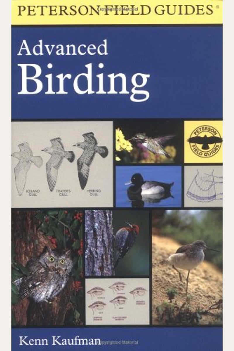 A Peterson Field Guide To Advanced Birding Birding Challenges And How To Approach Them