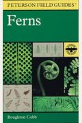A Field Guide to Ferns and Their Related Families: Northeastern and Central North America with a Section on Species Also Found in the British Isles an