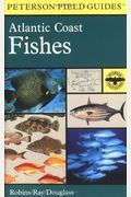 A Field Guide To Atlantic Coast Fishes: North America