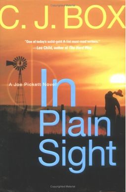 In Plain Sight In Plain Sight