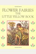 Little Yellow Book (Flower Fairies)