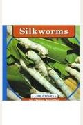 Silkworms (Life Cycles)