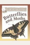 Butterflies And Moths