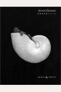 Anne Geddes Until Now Seashell Photofolio