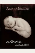 Anne Geddes Pure: 2005 Desk Calendar (Anne Geddes)