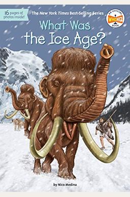 What Was The Ice Age? What Was The Ice Age?
