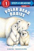 Polar Bear Babies