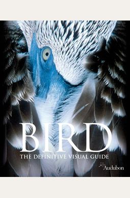 Bird Bird