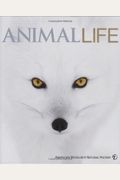 Animal Life: Secrets Of The Animal World Revealed (American Museum Of Natural History)
