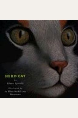 Hero Cat Hero Cat