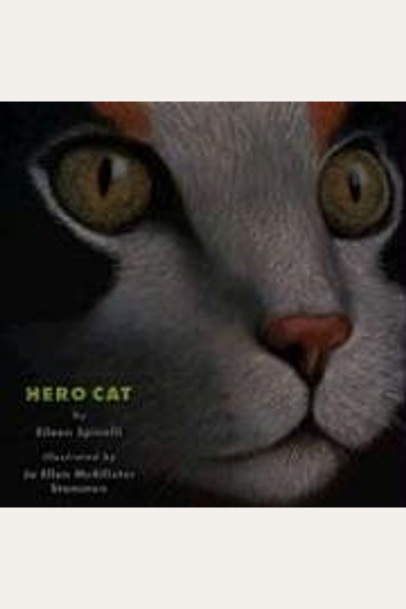 Hero Cat