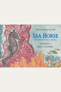 Sea Horse: The Shyest Fish In The Sea