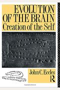 Evolution Of The Brain: Creation Of The Self