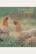 Choosing And Keeping Chickens