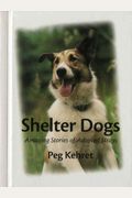 Shelter Dogs: Amazing Stories Of Adopted Strays
