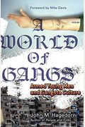 A World Of Gangs: Armed Young Men And Gangsta Culture Volume 14