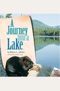 A Journey Into A Lake