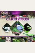 Carnivores in the Food Chain (Library of Food Chains and Food Webs)