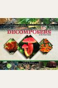 Decomposers in the Food Chain (Library of Food Chains and Food Webs)