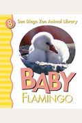 Baby Flamingo (San Diego Zoo Animal Library, 8)