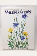 A Book Of Wildflowers