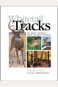 Whitetail Tracks: The Deer's History & Impact In North America