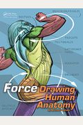 Force: Drawing Human Anatomy