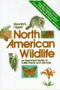 North American Wildlife: Wildflowers Field Guide