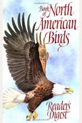 North American Birds